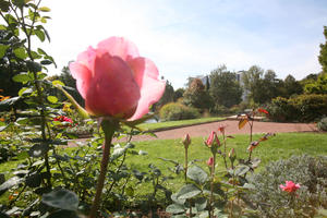 AWO Seniorenhaus "Am Rosengarten"